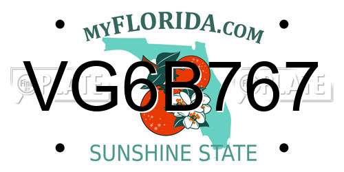 VG6B767 Florida License Plate