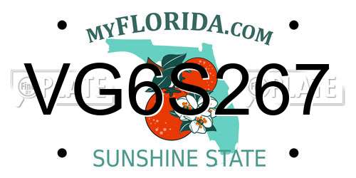 VG6S267 Florida License Plate