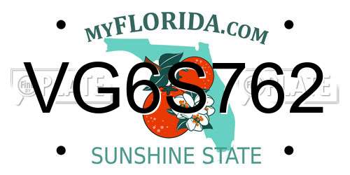 VG6S762 Florida License Plate