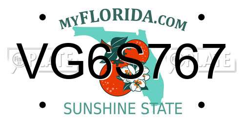 VG6S767 Florida License Plate