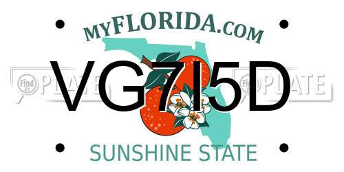 VG7I5D Florida License Plate
