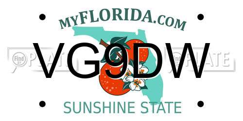 VG9DW Florida License Plate