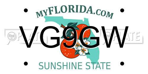 VG9GW Florida License Plate