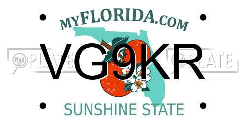 VG9KR Florida License Plate