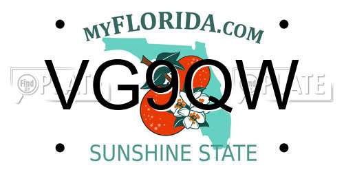 VG9QW Florida License Plate