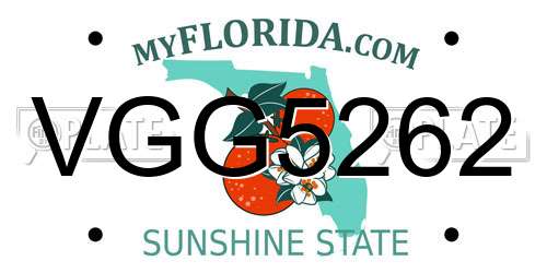 VGG5262 Florida License Plate