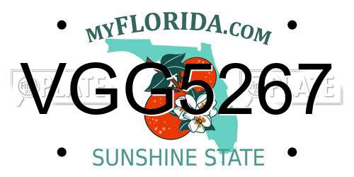 VGG5267 Florida License Plate