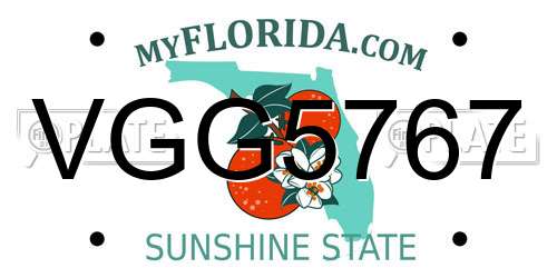 VGG5767 Florida License Plate