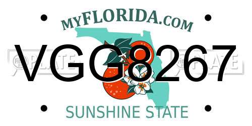 VGG8267 Florida License Plate