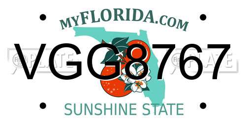 VGG8767 Florida License Plate