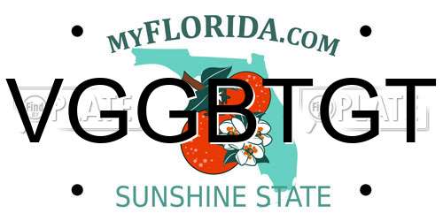 VGGBTGT Florida License Plate