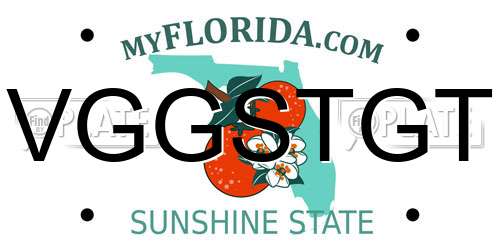 VGGSTGT Florida License Plate