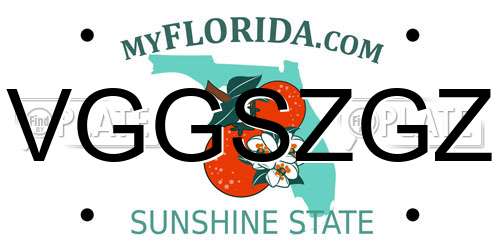 VGGSZGZ Florida License Plate