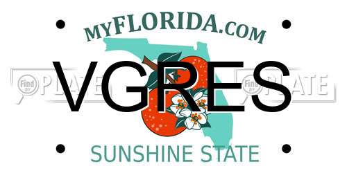 VGRES Florida License Plate