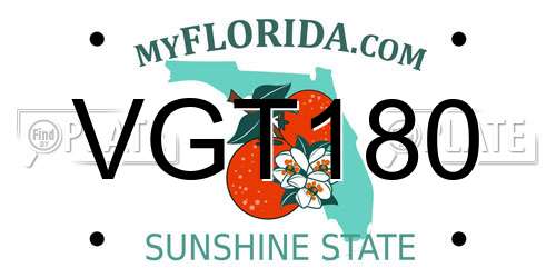 VGT180 Florida License Plate