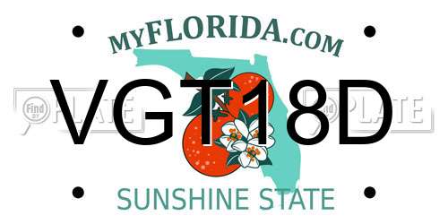 VGT18D Florida License Plate