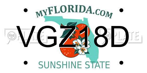 VGZ18D Florida License Plate