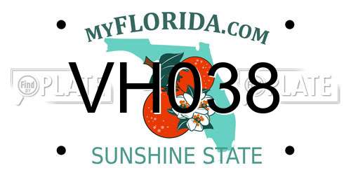 VH038 Florida License Plate