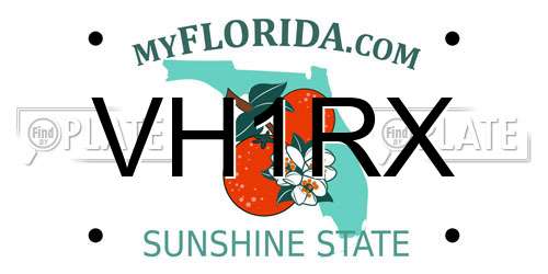 VH1RX Florida License Plate