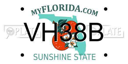 VH38B Florida License Plate