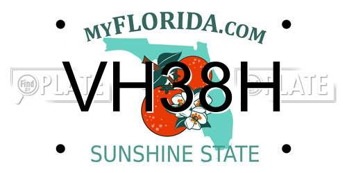 VH38H Florida License Plate