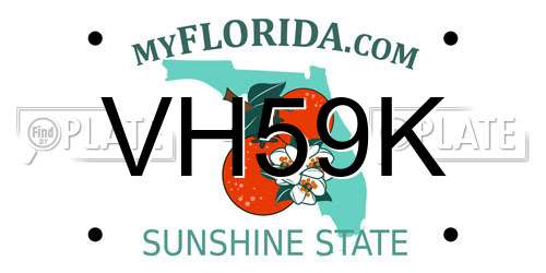 VH59K Florida License Plate