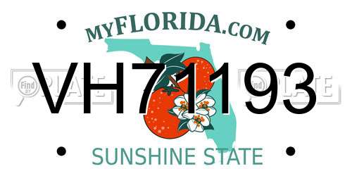 VH71193 Florida License Plate