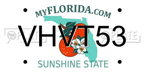VHVT53 Florida License Plate