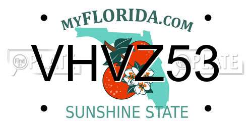 VHVZ53 Florida License Plate