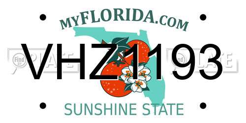 VHZ1193 Florida License Plate
