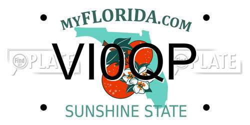 VI0QP Florida License Plate