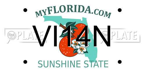 VI14N Florida License Plate