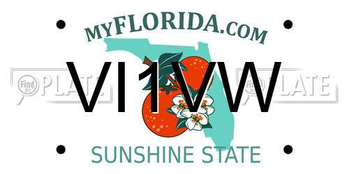 VI1VW Florida License Plate