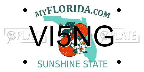 VI5NG Florida License Plate
