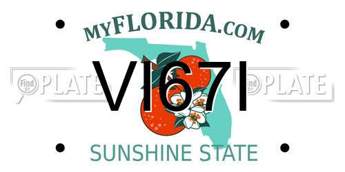 VI67I Florida License Plate