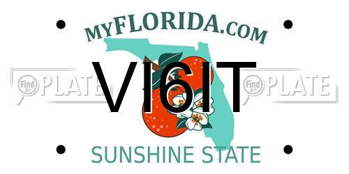 VI6IT Florida License Plate
