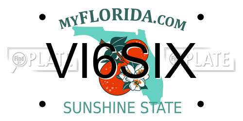 VI6SIX Florida License Plate