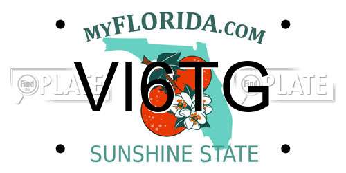 VI6TG Florida License Plate