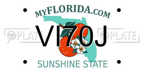 VI70J Florida License Plate