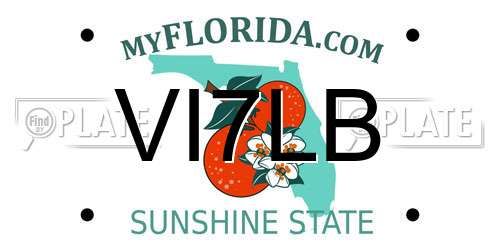 VI7LB Florida License Plate