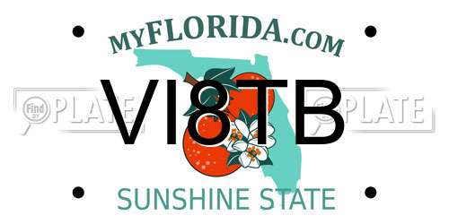 VI8TB Florida License Plate