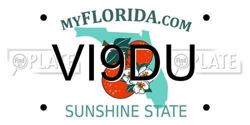 VI9DU Florida License Plate