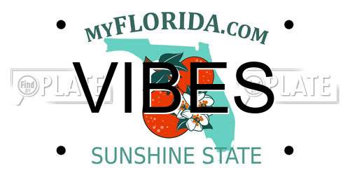 VIBES Florida License Plate