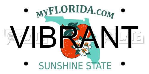 VIBRANT Florida License Plate
