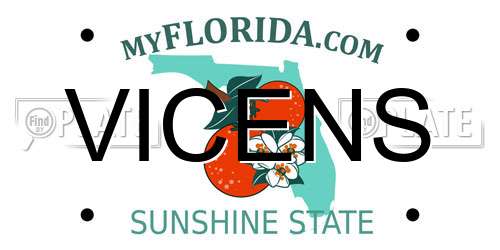 VICENS Florida License Plate