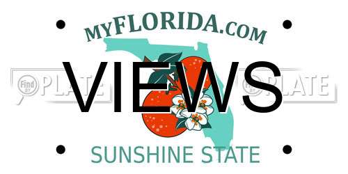 VIEWS Florida License Plate