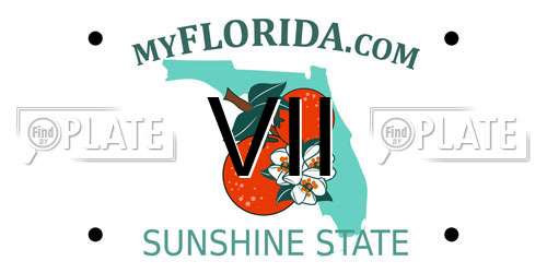 VII Florida License Plate