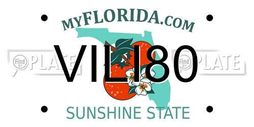 VILI80 Florida License Plate