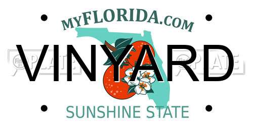 VINYARD Florida License Plate