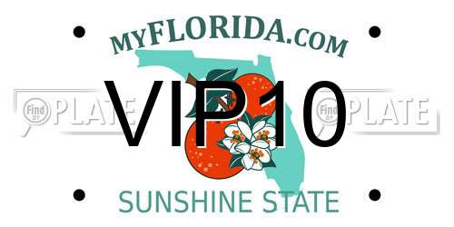VIP10 Florida License Plate